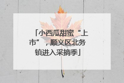 小西瓜甜蜜“上市”，顺义区北务镇进入采摘季